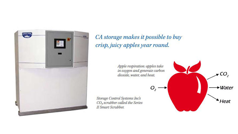 Apple storage