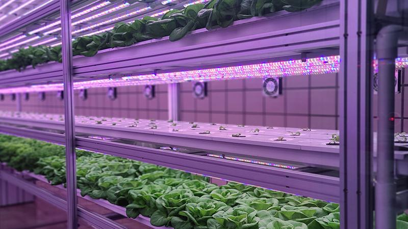 Vertical farming