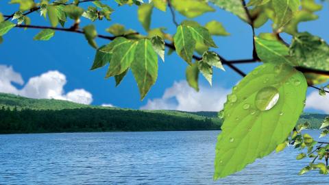 Comment mesurer le CO2