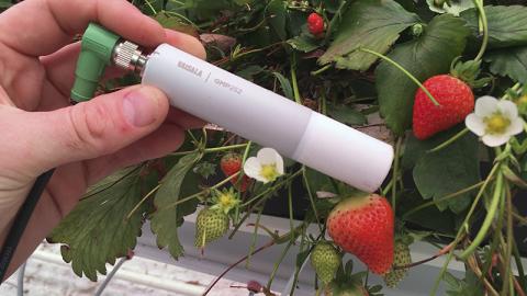 Sonde CO₂ GMP252
