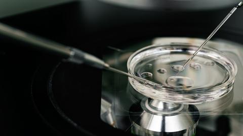 microscope for in vitro fertilization process close up. . Equipment on laboratory of Fertilization, IVF