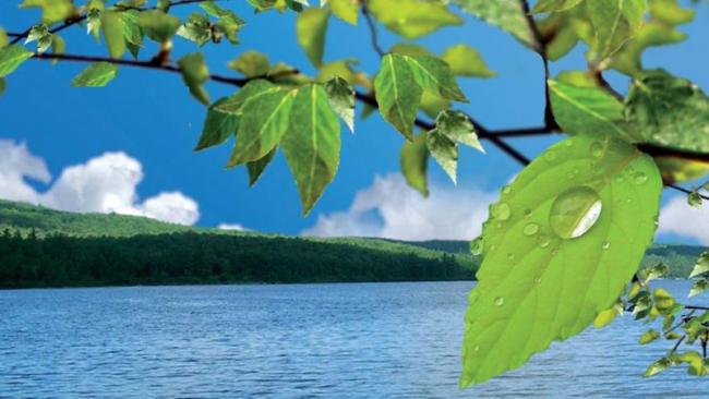 LIFT-How-to-measure-carbon-dioxide-800x450.jpg