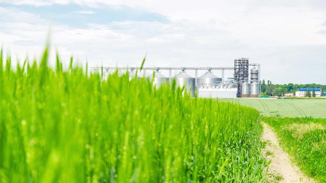 Field with factory in the distance