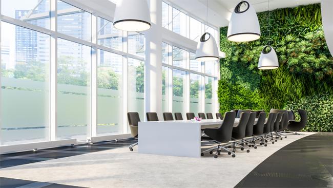 Green wall of plants in the office