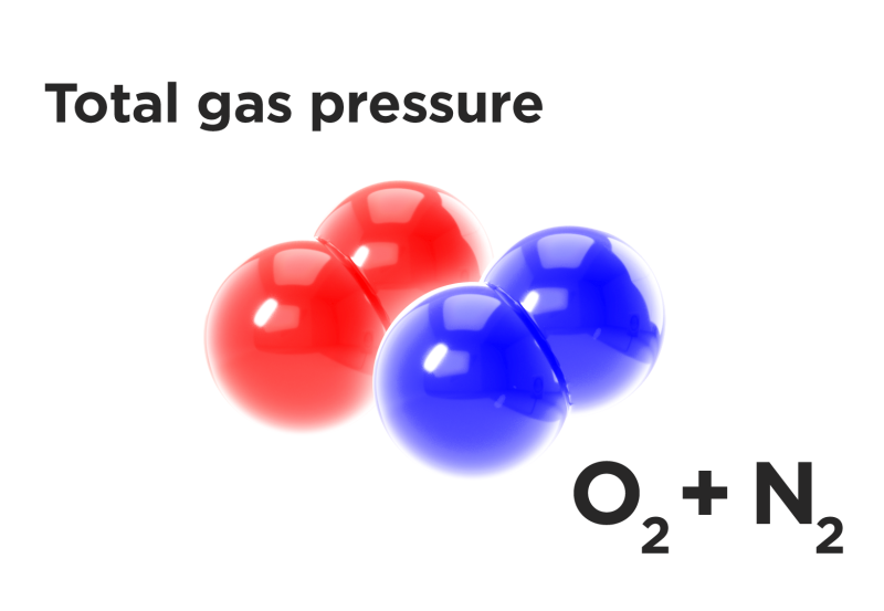 la pression de gaz totale est à peu près égale aux pressions d'oxygène et d'azote combinées